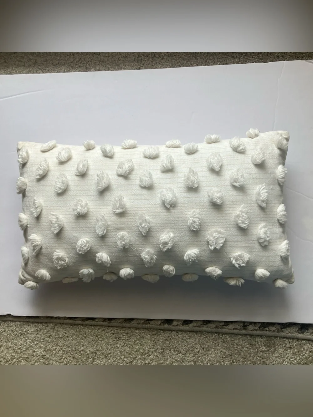 West Elm Ivory Cotton Pom Pillow Cover  + Pillow Insert